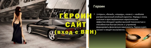 амф Снежногорск