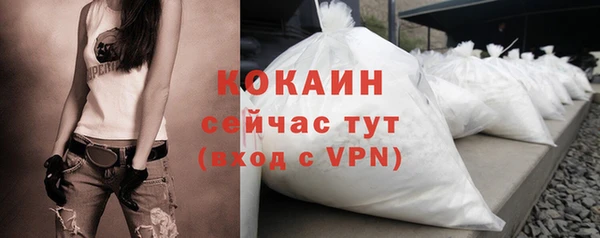 дживик Слюдянка