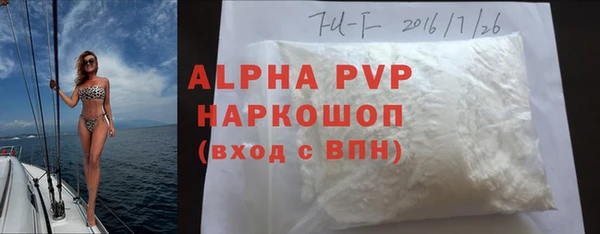 амф Снежногорск