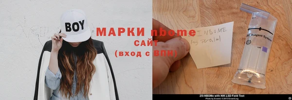 амф Снежногорск