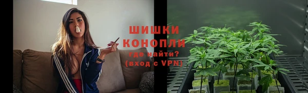амф Снежногорск