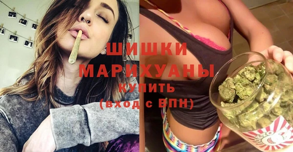 дживик Слюдянка