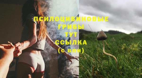 амф Снежногорск