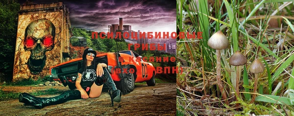 кокаин Белокуриха