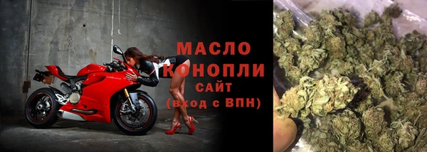 амф Снежногорск