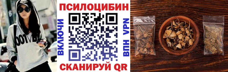 сколько стоит  Советский  Псилоцибиновые грибы GOLDEN TEACHER 