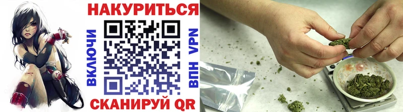 где купить наркотик  Советский  Конопля ГИДРОПОН 